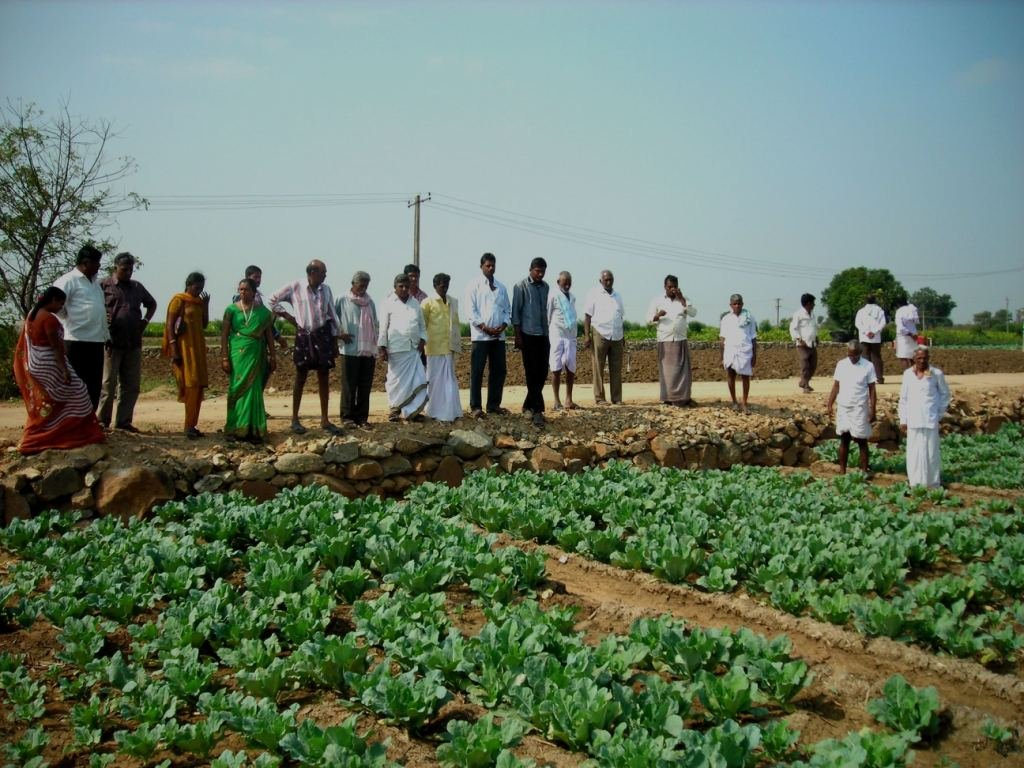 Agriculture