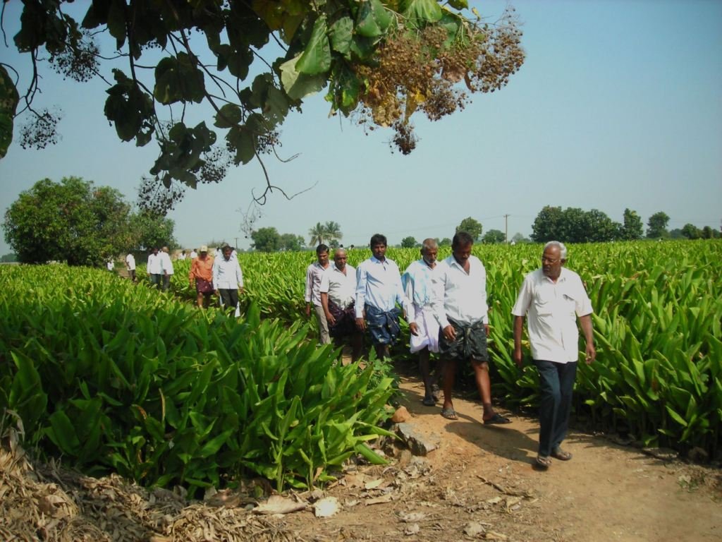 Agriculture