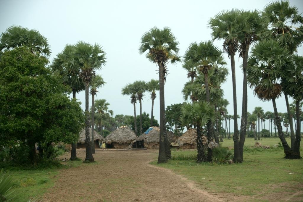 Agriculture