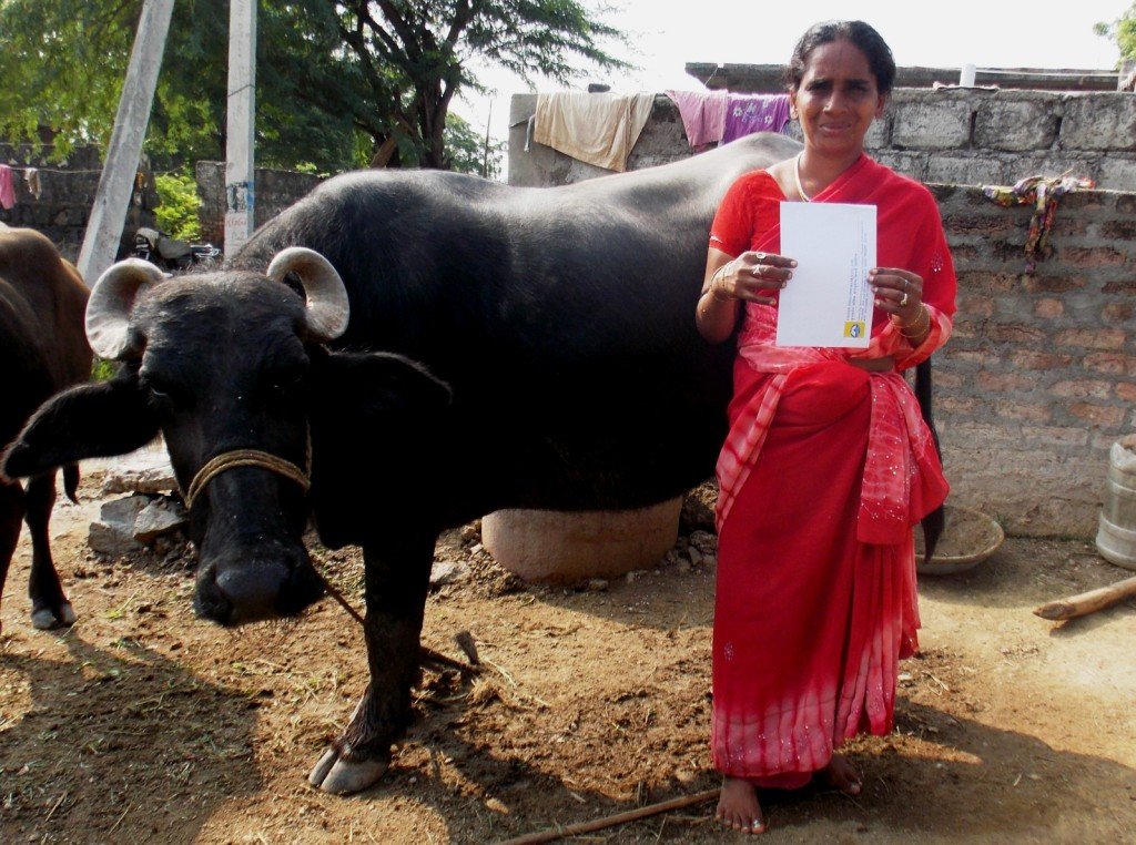 Women's Livelihood and Economic Empowerment