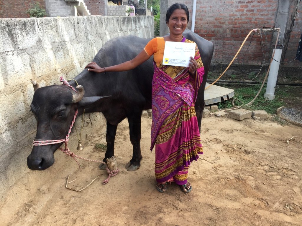 Women's Livelihood and Economic Empowerment